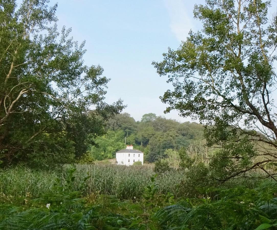 Riverbank House Bed And Breakfast Innishannon المظهر الخارجي الصورة