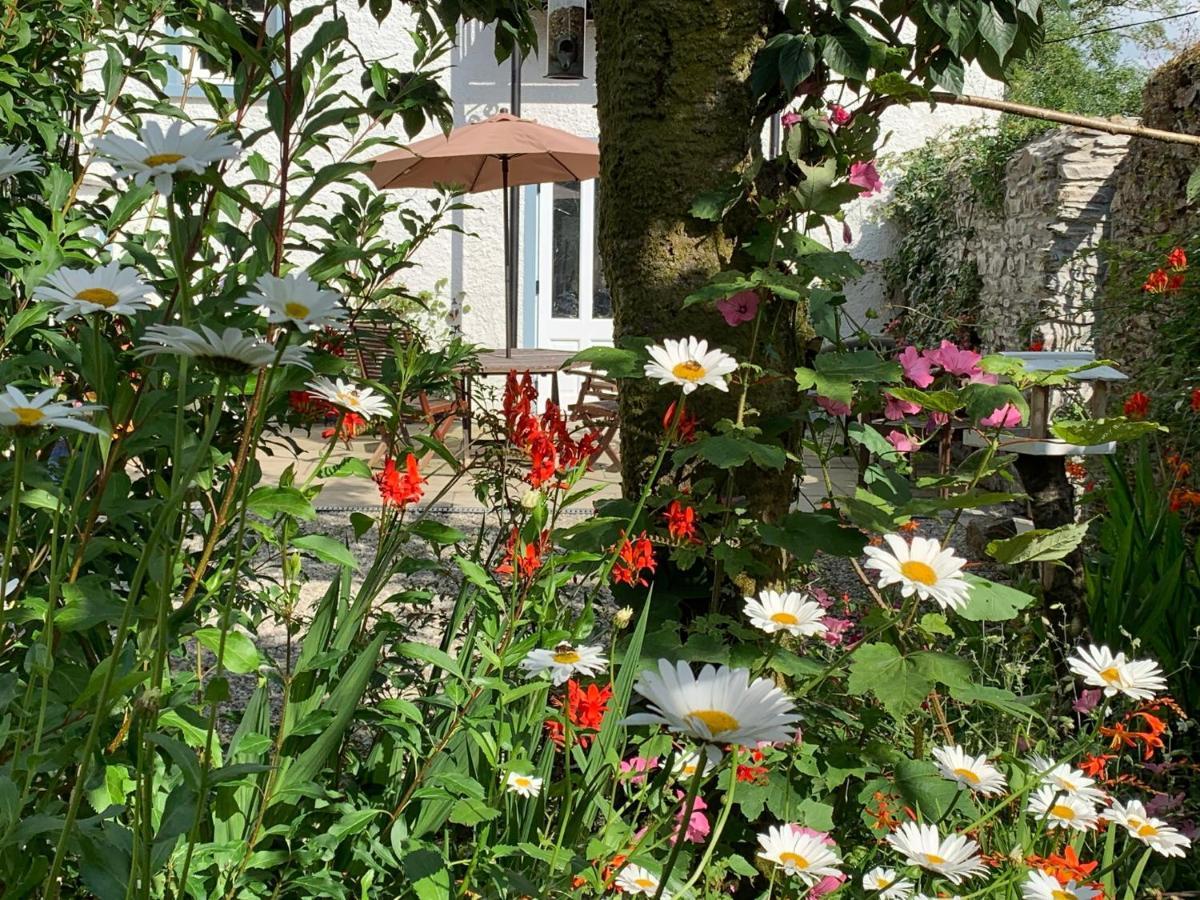Riverbank House Bed And Breakfast Innishannon المظهر الخارجي الصورة